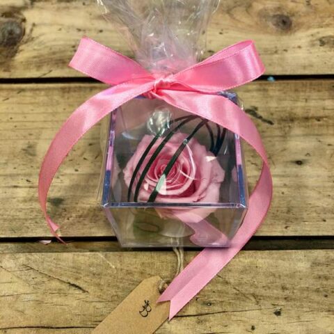 Caja mediana de rosa preservada color rosado