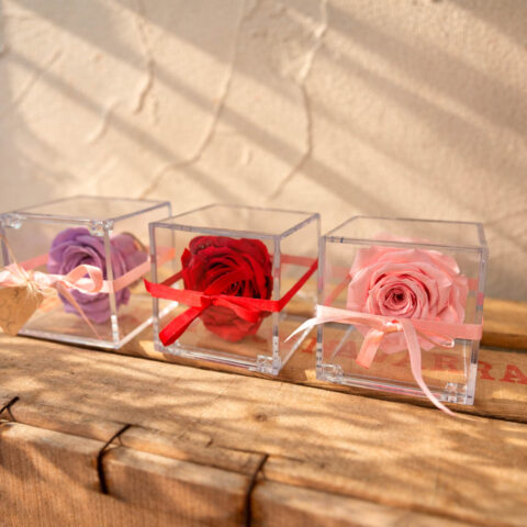 Caja de rosa preservada