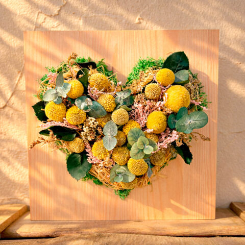 Craspedias en corazón