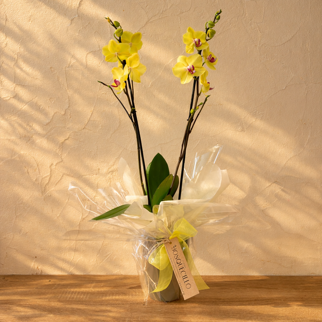 Orquidea color - Imagen 2