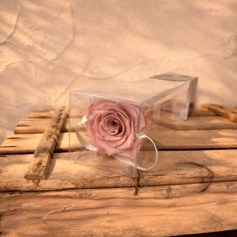 Rosa morada preservada