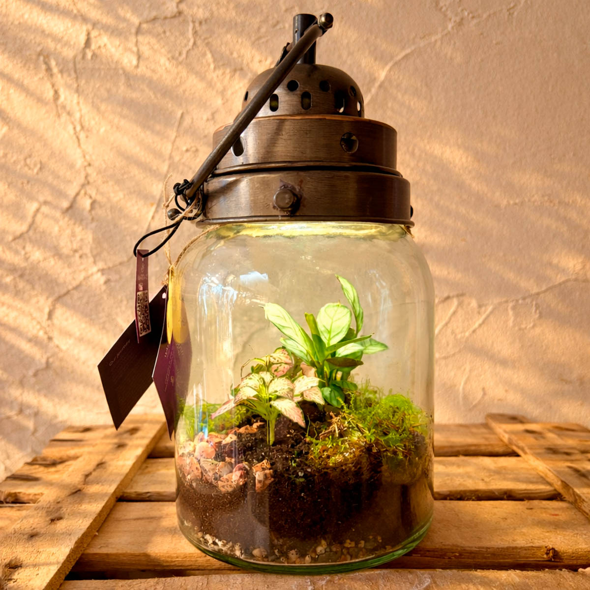 terrario vintag con luz