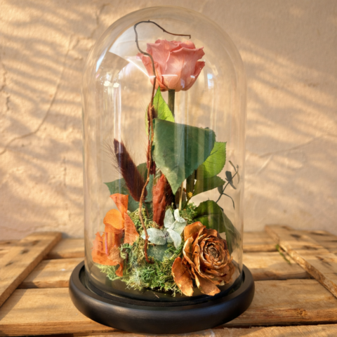 Cúpula de rosa especial