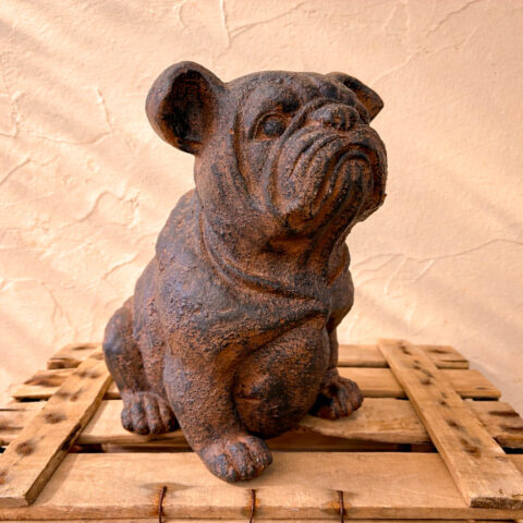 Buldog