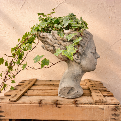 Afrodita pensando en hiedra