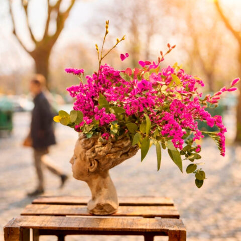 Atenea con flores fucsias