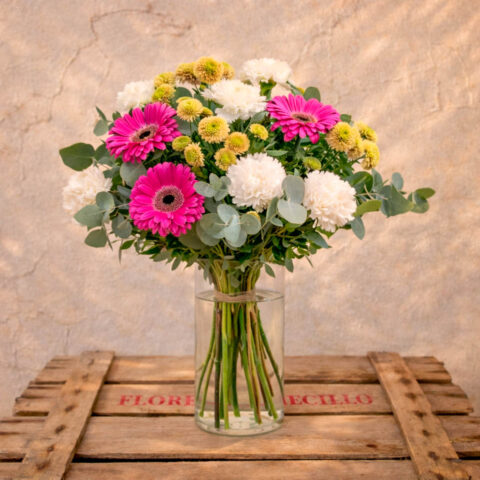 Ramo de gerberas y claveles