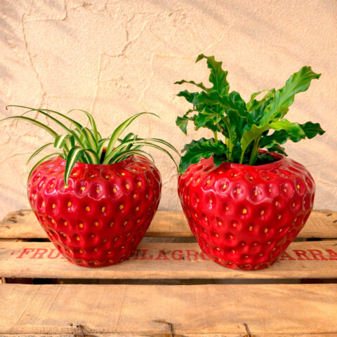 Fresa con planta