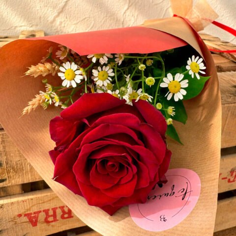 Rosa roja de Sant Jordi