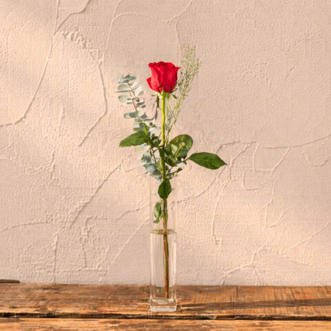 Rosa de Sant Jordi