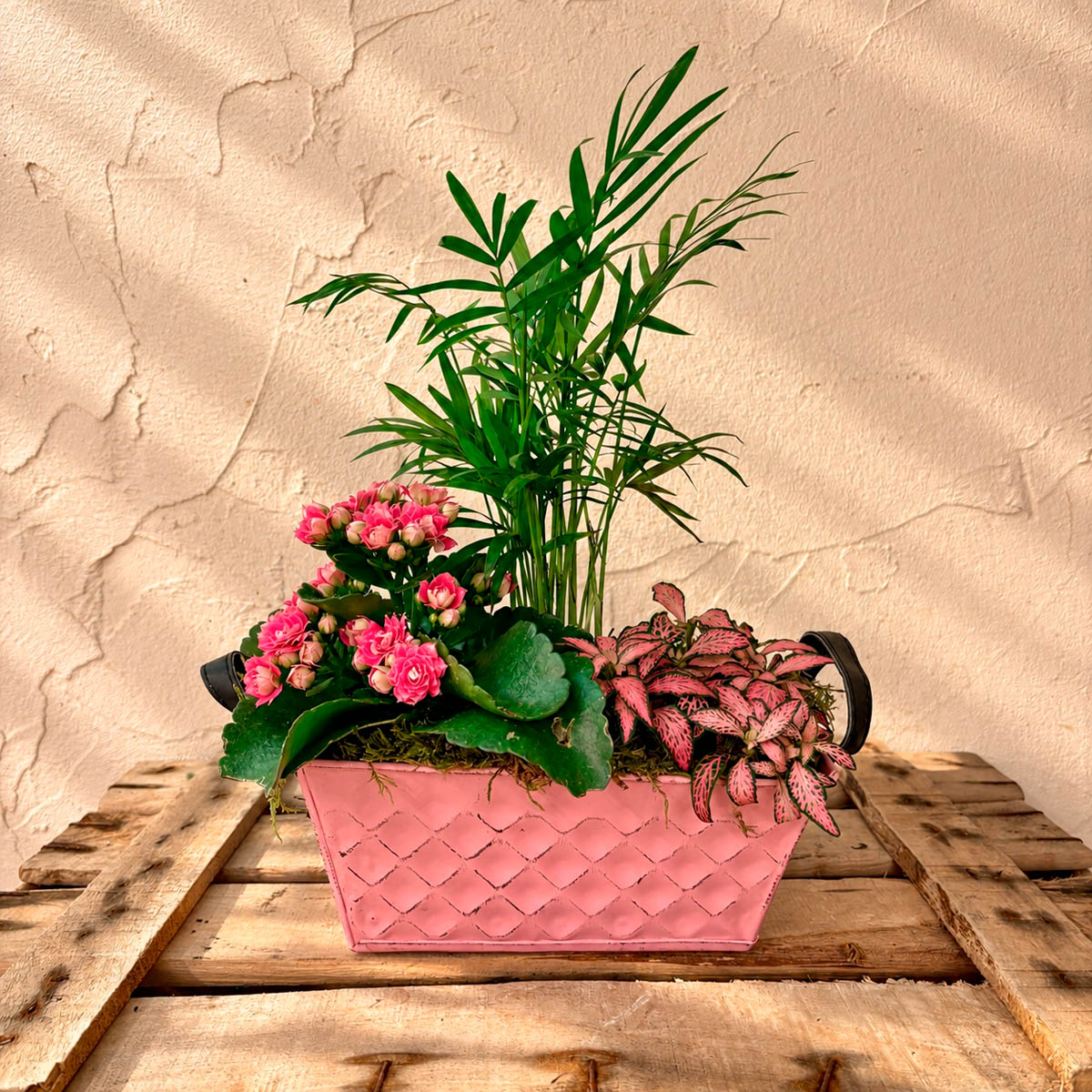 centro con plantitas