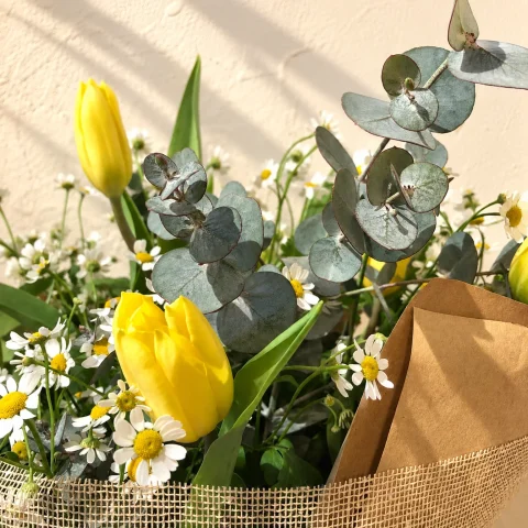 tulipanes amarillos
